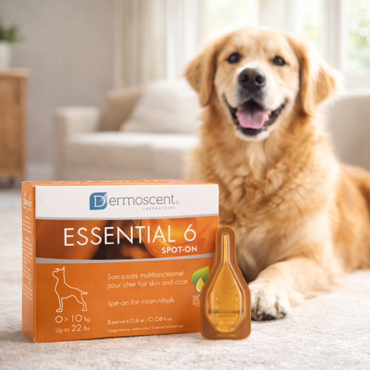 Dermoscent Essential 6